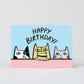 Happy Birthday Cats Card